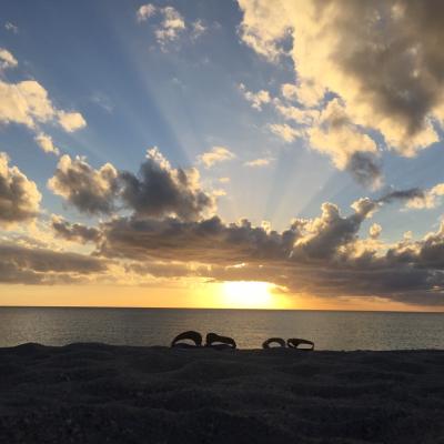 00466352 1129 4353 8b4b 3de5ff308635 1 105 C