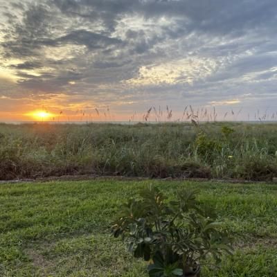 095b9d24 9b84 49ac Acca B817c5b43966 1 105 C