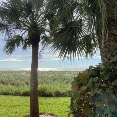 0ed7908a 954b 4ed4 B8a2 9a329e8078b2 1 105 C