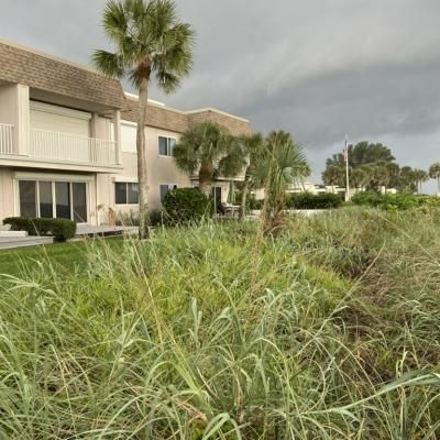 0f563f74 82f0 4031 Bba9 3977f34e85b6 1 105 C