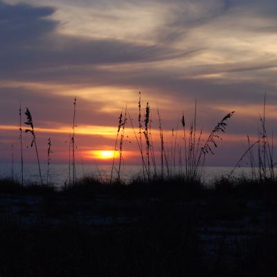 19c59f7e 54b4 4a21 8629 1b24eaaa1ab9 1 102 O