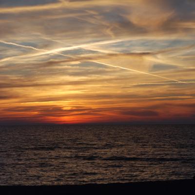 1d429473 Fdde 426e 9642 095bdab6920a 1 102 O