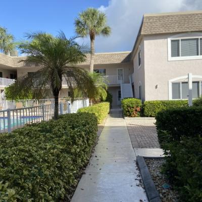 202b1942 1bc4 4ccd A219 Ad47bb2821f5 1 105 C