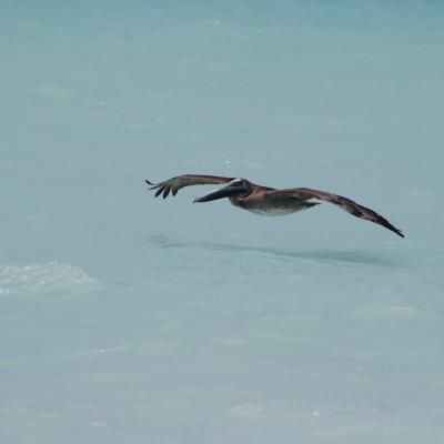 22702f88 Cc02 4ba9 925c D36338fced14 1 102 O