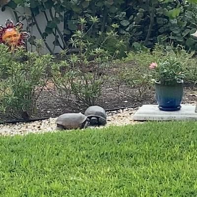 2340df16 92ec 4c22 Ac45 1b028a425fb8 1 102 O