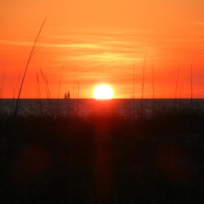 3efc4f65 8d6a 4d13 90da 41a39f08c99b 1 105 C