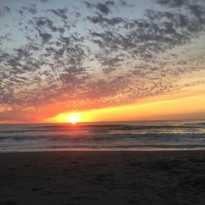 40eb25c2 91a3 4b89 9056 882c4dabffbf 1 105 C