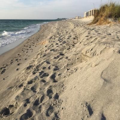 42ad0597 3d48 4812 Ac29 9abd3667f1d6 1 105 C