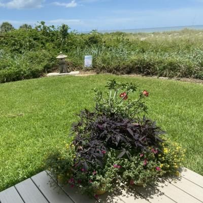 4d2ecf51 58c4 4f25 A89e 19e82eab25e0 1 105 C