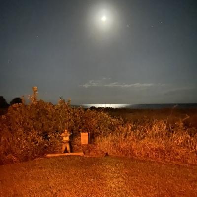 5406f783 90cc 44b1 B68e A9911f9543de 1 105 C