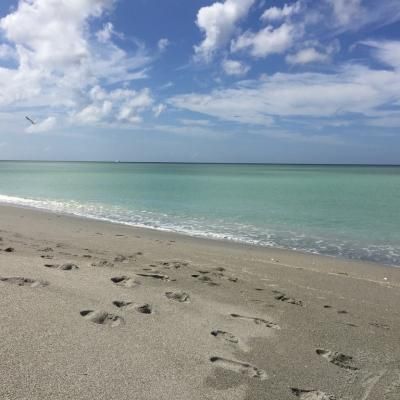 544cbe8f 6943 4fa2 Af88 D64f33f180c6 1 105 C