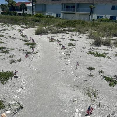 576875bb 974d 4e01 A2ea C6eecbeaaf9a 1 105 C