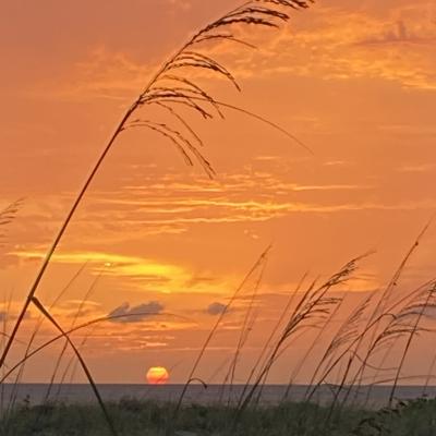 63001bc0 C3e2 4d44 8fee Dbb22756e607 1 105 C