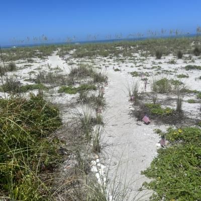 7813922a 6896 42b6 8bfb 8db4104f2c91 1 105 C