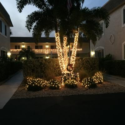 7e503227 2164 45b4 8b16 933b177dfa7f 1 105 C