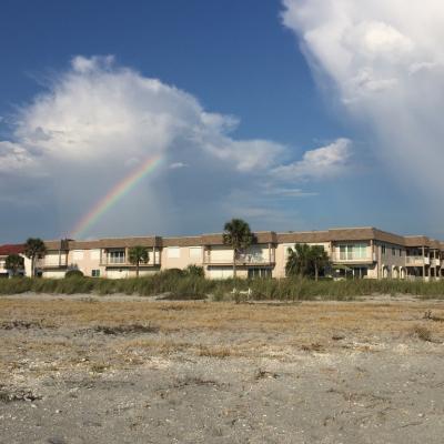 947657cf 5ba1 4cc1 Be2a 87fb32e4fc47 1 105 C