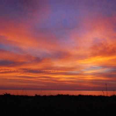 9f112141 B5da 4151 860a 805f8b23e225 1 102 O