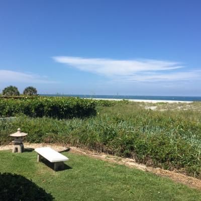 Ae1acd33 Debd 4929 997d 9817ec0f399f 1 105 C