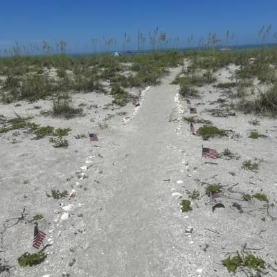 B4391d99 1196 461c 8a53 B58b22a63e73 1 105 C