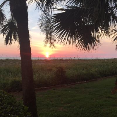 Bf1f50bb 115a 4f16 9da1 775c5051f0e7 1 105 C