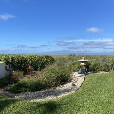 C4a2b205 9c88 41cf 846e 5295641f4590 1 105 C