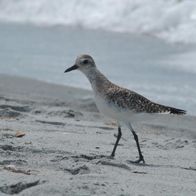 D1021232 9d57 4db1 A56a 6853bd409097