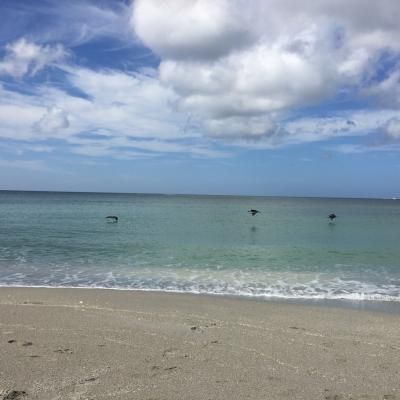 E01e5985 0c53 4414 B497 Eac4d3c1e8d7 1 105 C